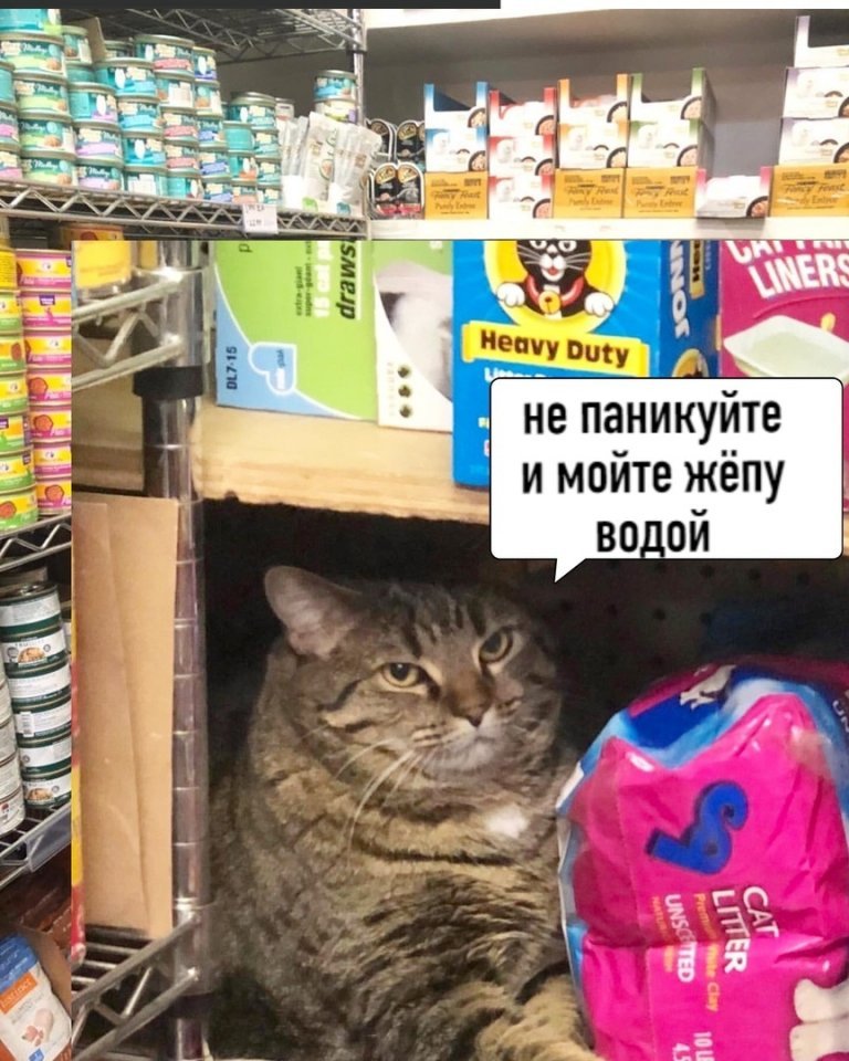 Сарказм (@tw_dobrota) on Twitter photo 