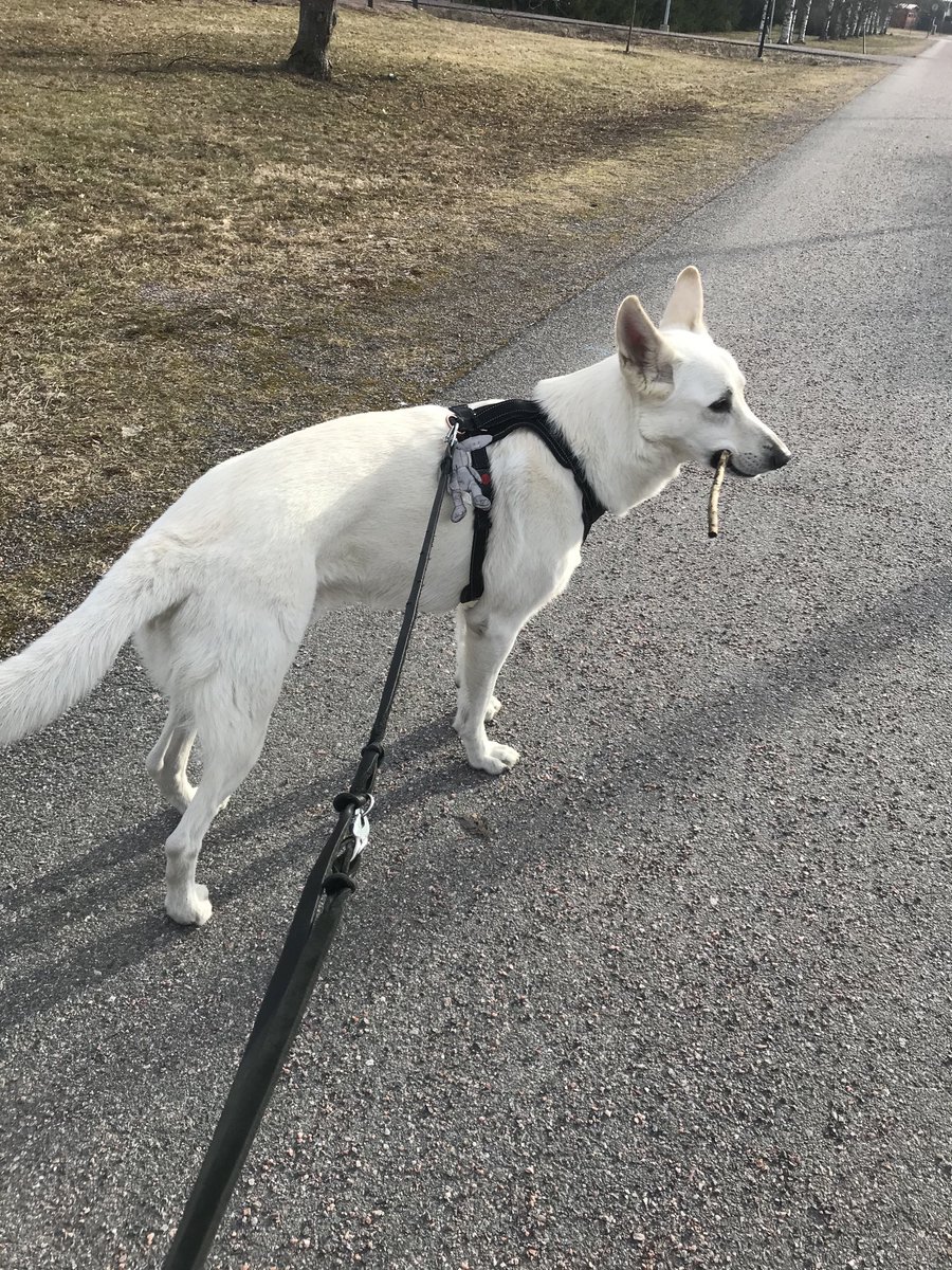 #elämäkuvina 2/7. Ei sanoja, eikä ihmisiä. Vain kuva. Haasta yksi uusi henkilö joka päivä. Haastan tänään ⁦<a href="/MinnaHelle/">Minna Helle</a>⁩