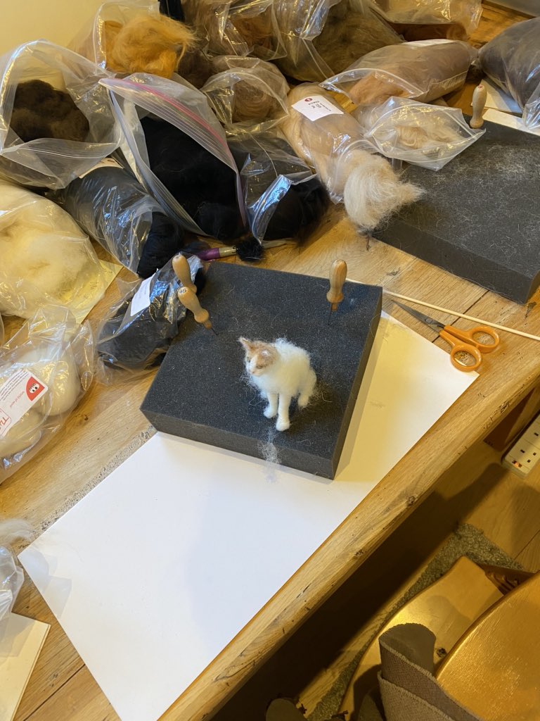 woolly_bug's tweet photo. RT https://t.co/4i4f0cDu6k Work continues today, albeit more slowly than usual! #catlife #catlovers #cats #catlove #catoftheday #catloversclub #cat #needlefelting #3dartist #petportrait #petpo… https://t.co/g4Je2ntGrh