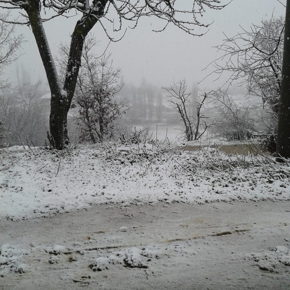 Sevgiyi kalbinde tut. Onsuz bir hayat, çiçekler öldüğünde güneşsiz bir bahçe gibidir.