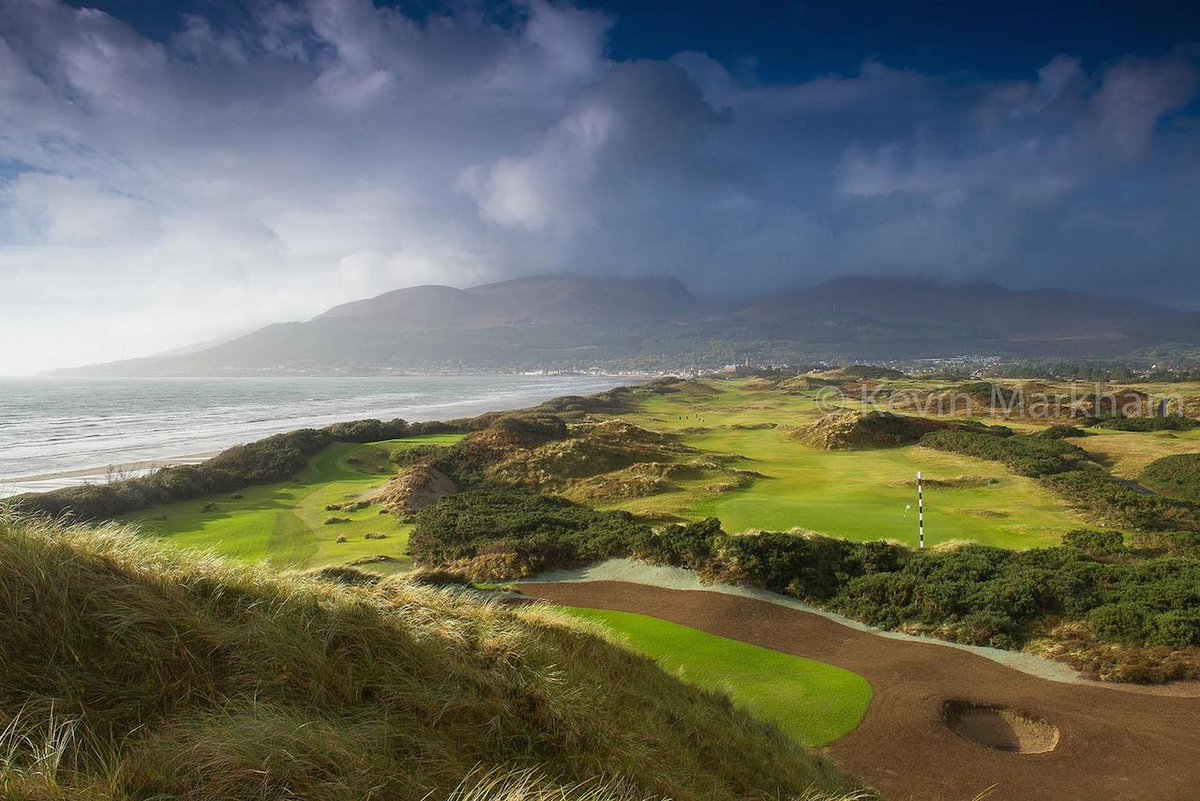 Kevin Markham tweet media