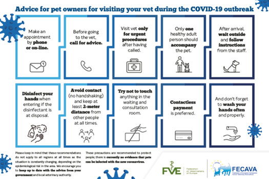 homeopathicvet's tweet photo. UPDATE 24th March – PRACTICE Protocols in the CORONAVIRUS Outbreak    Please see our Facebook Page - Elliott and Bulbeck https://t.co/4z13m9g69w