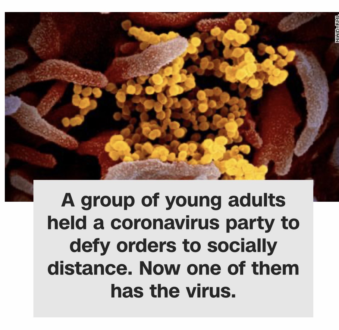 kindly myers KindlyMyers Timeline, The Visualized Twitter (Analytics)(02)