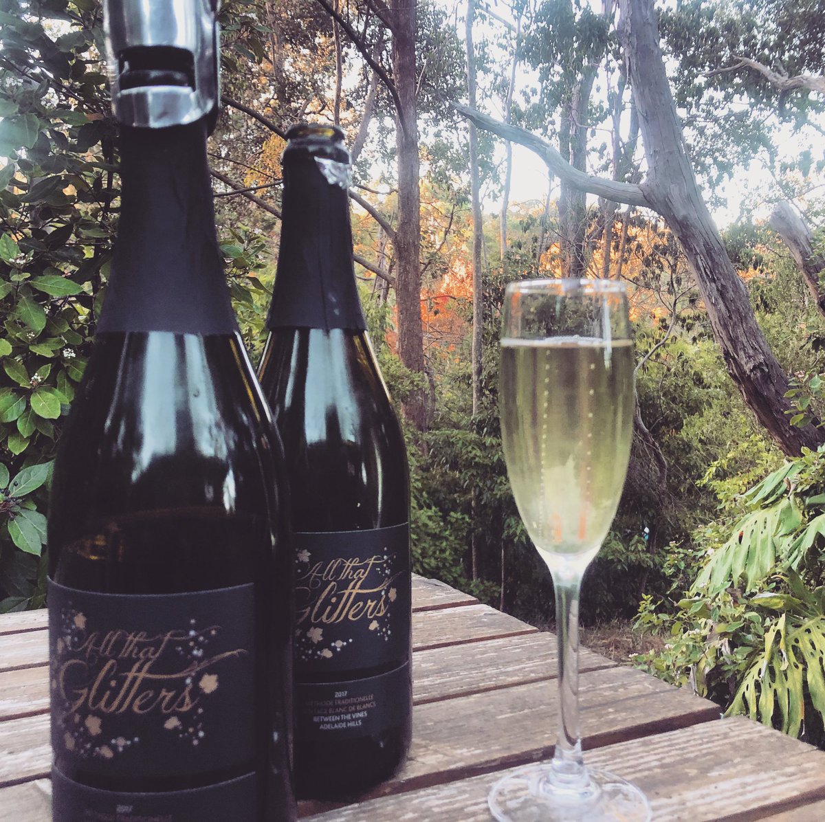 Such a gorgeous evening, such a gorgeous wine... This WineCloud order arrived this morning &amp; we are already onto the second bottle! #directfromthewinemakers #winetime #Adelaidehillswine #socialdistancing #isolation