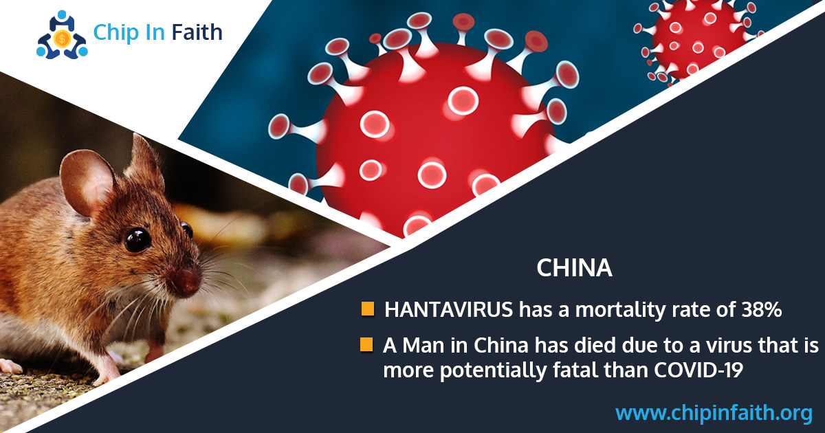 chipinfaith's tweet photo. In the latest – A Man in #China has died due to a virus that is more potentially fatal than #COVIDー19 and has strikingly similar symptoms. #Hantavirus has a mortality rate of 38%.
#hantaviruses #coronavirus #CoronavirusLockdown #ChipInFaith #Pune #indialockdown https://t.co/eAKrwR4zqD