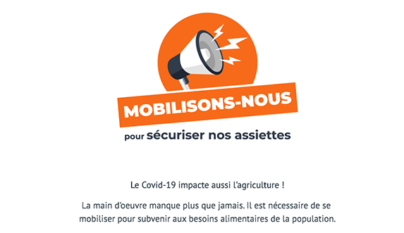 🙏 Si tu as des bras, on peut t'avoir du chocolat... Mais on a surtout du boulot pour toi ! 🚜 ▶ agri85.fr/covid-19-lance…
#emploi #agriculture #vendee #SolidariteCOVID19