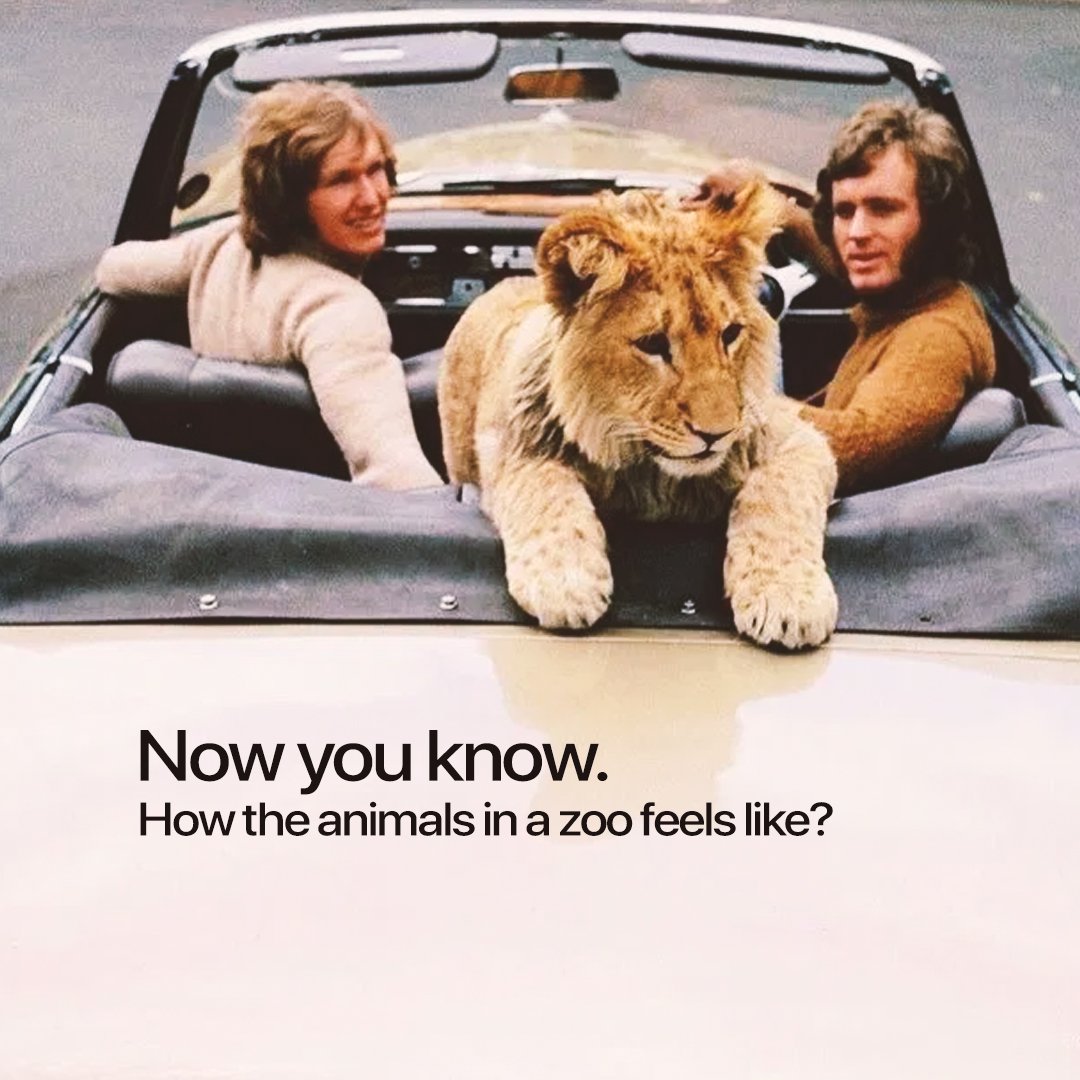 mush_creative's tweet photo. Be the lion of your own zoo. And stay inside for everyone's safety. 🦁 @WHO @peta  #IndiaFightsCorona #CoronavirusLockdown #21daysLockdown #coronavirusindia https://t.co/6YbyIBik6H