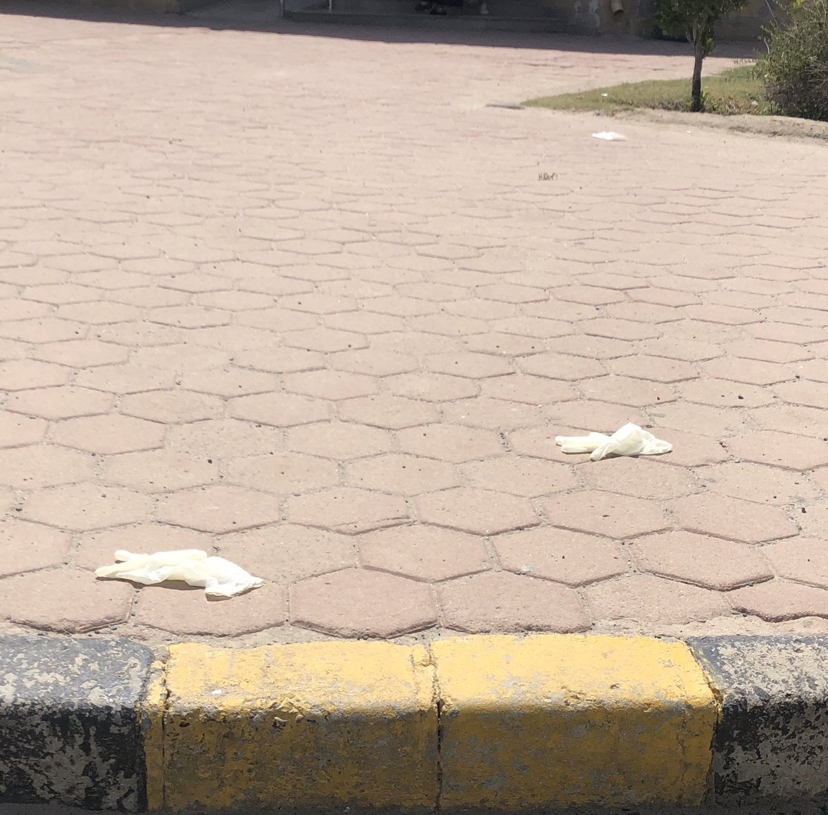 عــلي أحـمد ســــناســــيري On Twitter والله عيب تطلع من المستوصف وتقط القفازات على الارض ماحسيت ان شكلك بايخ شنو خسران اذا مشيت مترين زياده وقطيتهم بسلة المهملات انعدام الذوق والاخلاق مرض