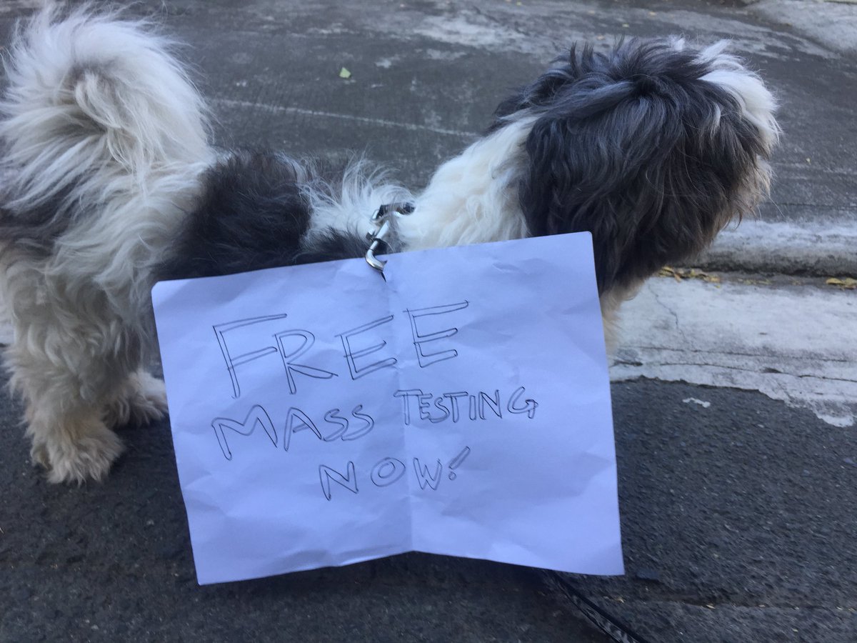 zekemachine's tweet image. #FreeMassTestingPH