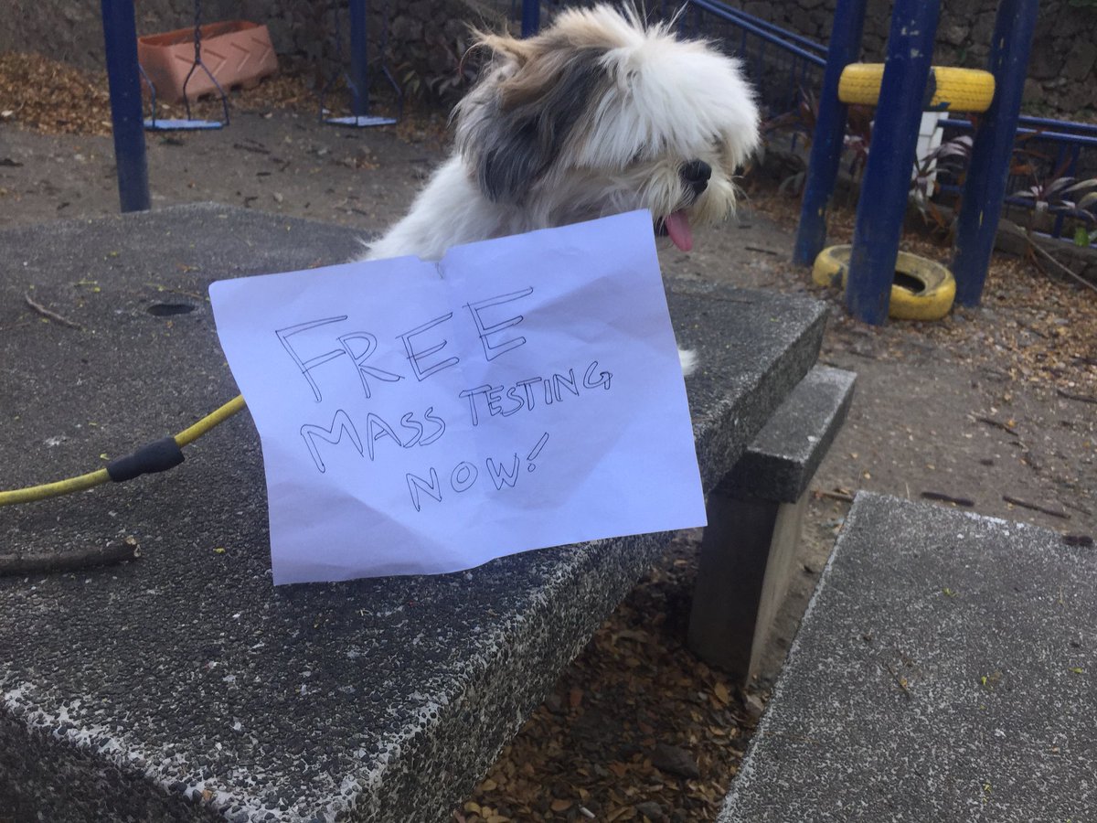 zekemachine's tweet image. #FreeMassTestingPH