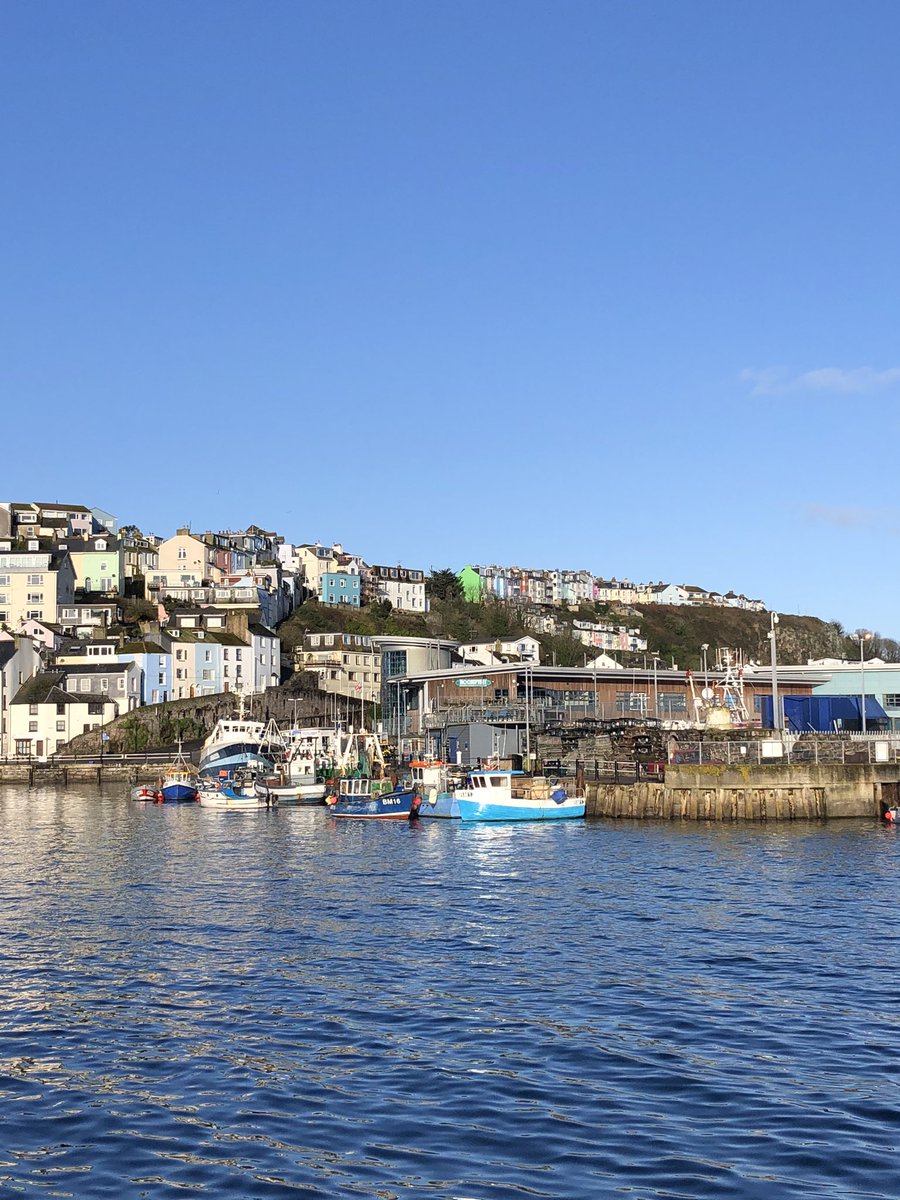 BellTideBrixham's tweet photo. Some photos of #Brixham’s beautiful coastline to brighten up your day ! stay safe, keep your distance, keep in touch and relish the sound of the sea and nature ..@Brixham @timeandtidebell @TorbayCulture @BoostTorbay https://t.co/EB96JQ3SrA