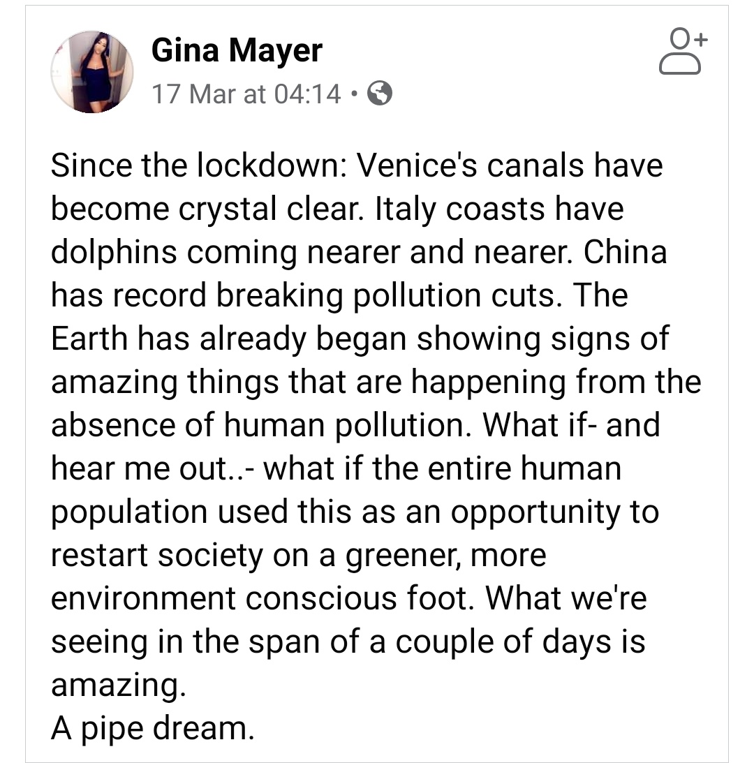 Lexi Skeldon tweet media