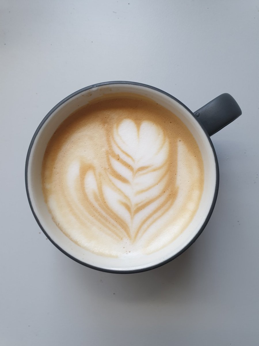 alvinwtng's tweet photo. @nus_sling #selfisolatteing #slowsetta coffee break time? https://t.co/qpB3HNEPcw