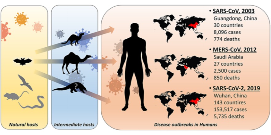 We have updated our #COVID19 🦠 article collection! 

In this 🆕 review #article, Luca Perico, <a href="/ariela_benigni/">Ariela Benigni</a>  and <a href="/gremuzzi1/">Giuseppe Remuzzi</a> assess the most recent findings on the effects of SARS-CoV-2 infection on kidney diseases and discuss the clinical management 👉 bit.ly/3dqewfj