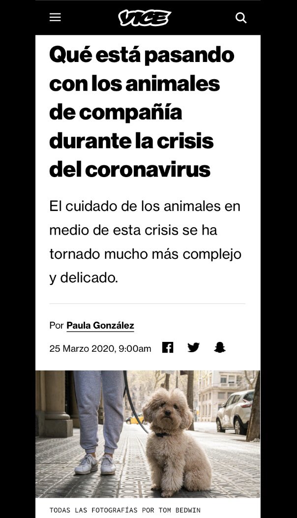 Doggies! But also serious issues, so get some! <a href="/vice_spain/">VICE España</a> #animalrights  <a href="/paulaGlezC/">Paulitavegan (she/her/ella) 🐺</a>