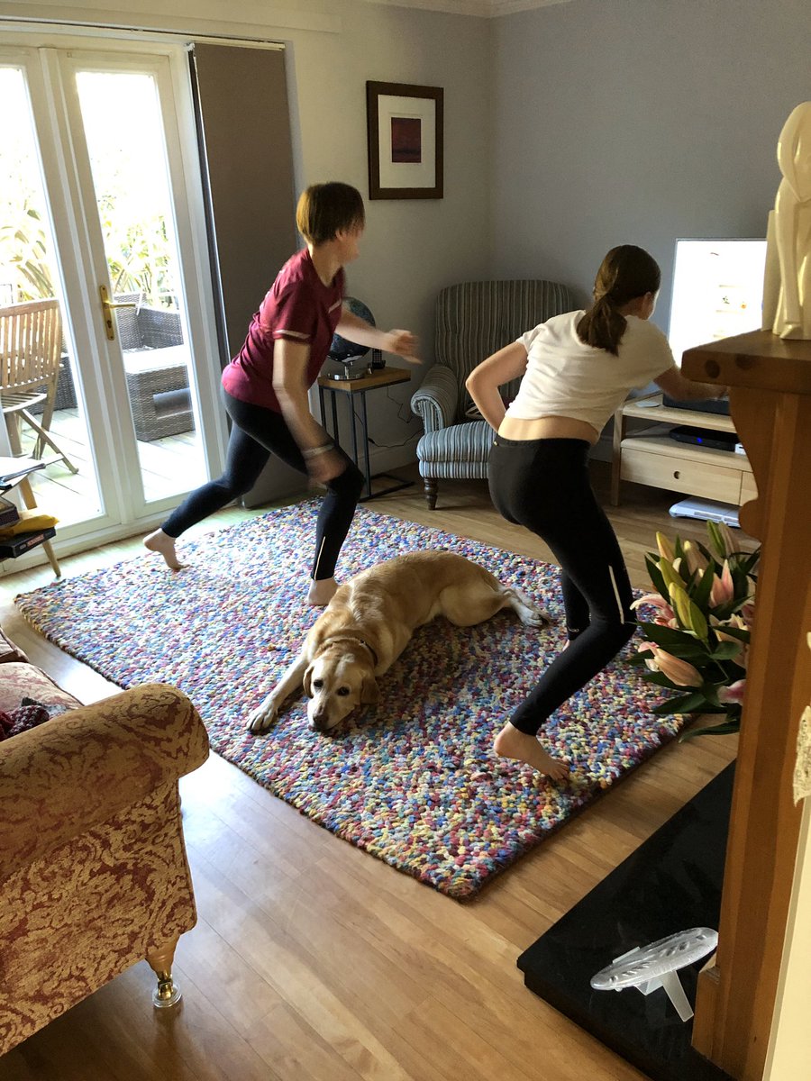 rsimpsonphysio's tweet photo. @thebodycoach loving the morning PE workouts but my dog isn’t getting the message yet!!! https://t.co/hM2WGDgsBs