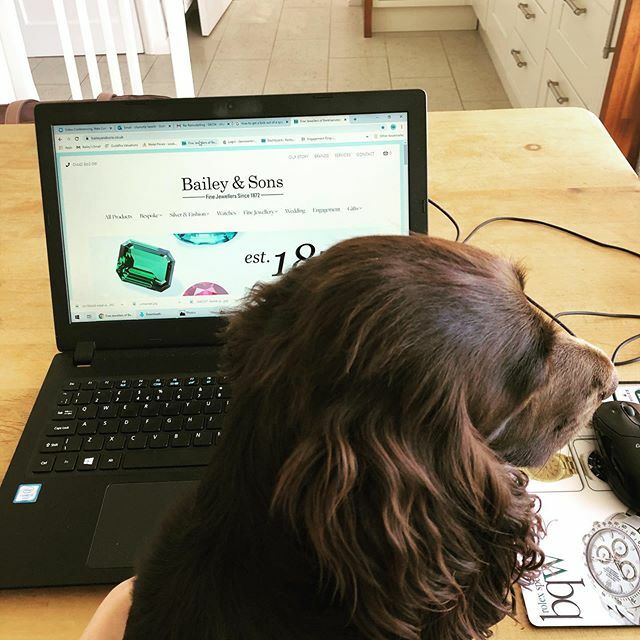 Bailey & Sons tweet media