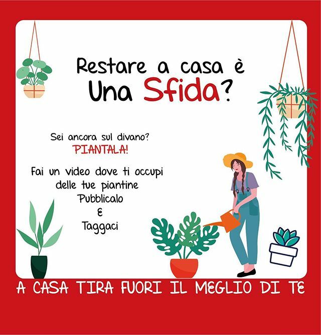 cricodogno's tweet photo. Qui a Codogno la primavera si fa sentire, annoiati in casa? È il momento di rendere il giardino il fiore all’occhiello del quartiere!!
Fateci vedere quanto è verde il vostro pollice..#stiamoacasachallenge #cricodogno #iltempodellagentilezza  #unitaliache… https://t.co/AjMc6QUy4B https://t.co/6eWon9HXif