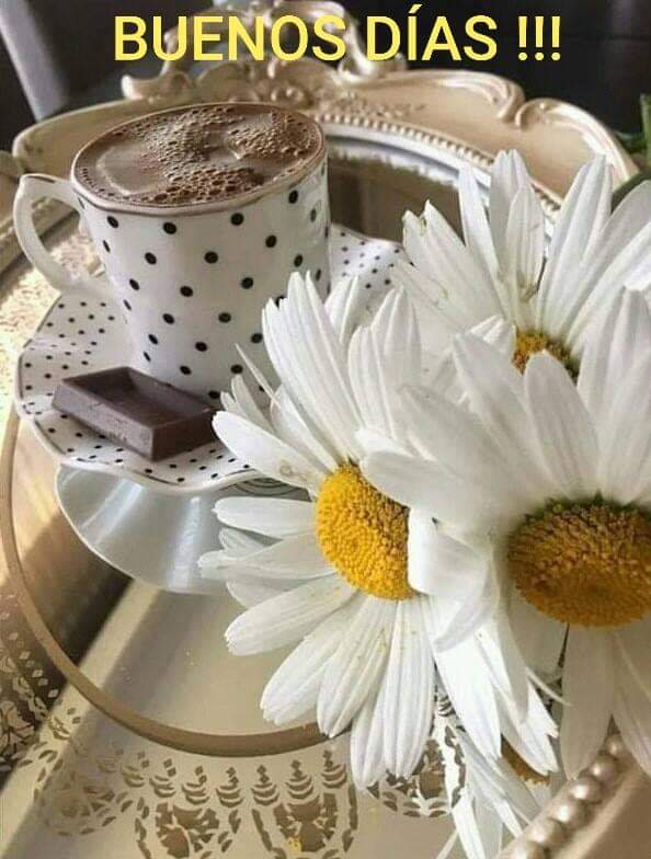 Pilar on X: "Tú café... feliz miércoles.. https://t.co ...