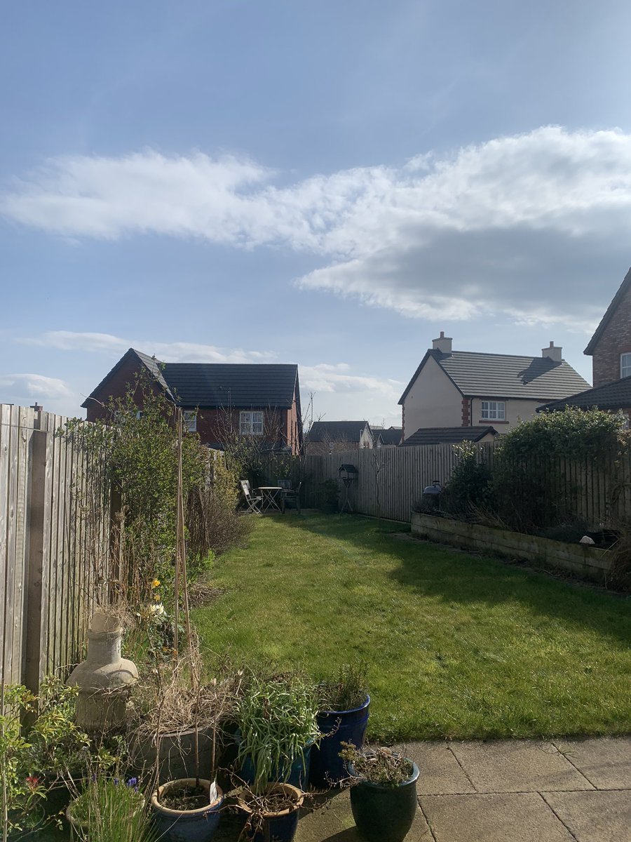 I’ve got a lovely sunny garden view from my #WFH office! The sunshine is keeping me happy and smiling, what keeps you #motivated while working? 🌞<a href="/inspiraforlife/">Inspira</a>