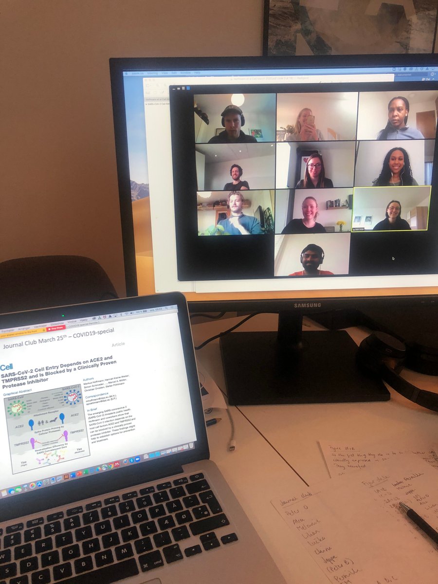 PROMEMO - Center for Proteins in Memory tweet media