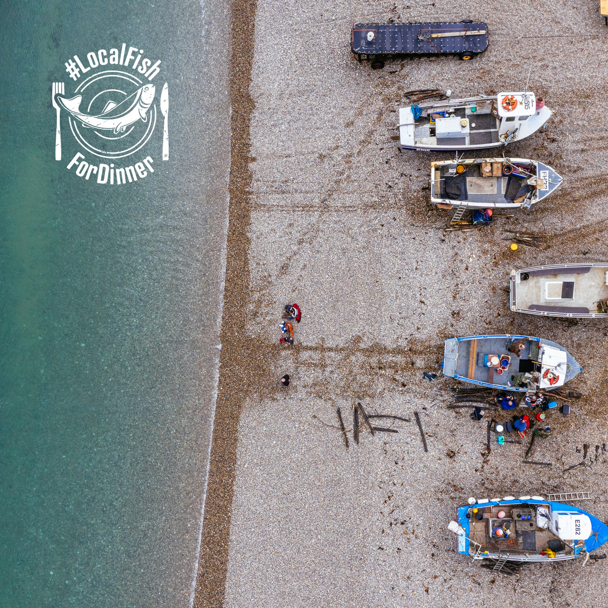 Lyme Bay Reserve (@lymebayreserve) on Twitter photo Fill your fridge and give the <a href="/LymeBayReserve/">Lyme Bay Reserve</a> fishing community a boost by having #LocalFishForDinner
Buy <a href="/ReserveSeafood/">Reserve Seafood</a> from <a href="/lymefishshack/">Lyme Bay Fish Shack</a> and have it delivered direct to your door. Orders now being taken. Open Mon-Fri: 9am-4pm. Fill your fridge and give the <a href="/LymeBayReserve/">Lyme Bay Reserve</a> fishing community a boost by having #LocalFishForDinner
Buy <a href="/ReserveSeafood/">Reserve Seafood</a> from <a href="/lymefishshack/">Lyme Bay Fish Shack</a> and have it delivered direct to your door. Orders now being taken. Open Mon-Fri: 9am-4pm.