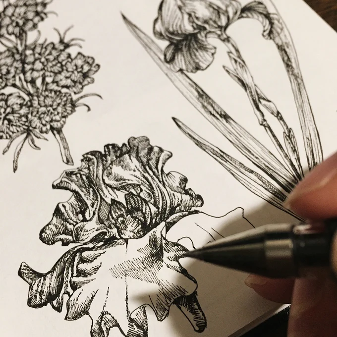 素材集のためのペン画 / ボタニカル素材集 Flowers &amp; Plants  