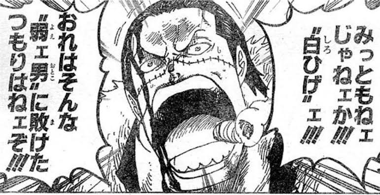ワンピース クロコダイルの伏線解説 実は女だった 白ひげとの関係は 漫画情報 Info