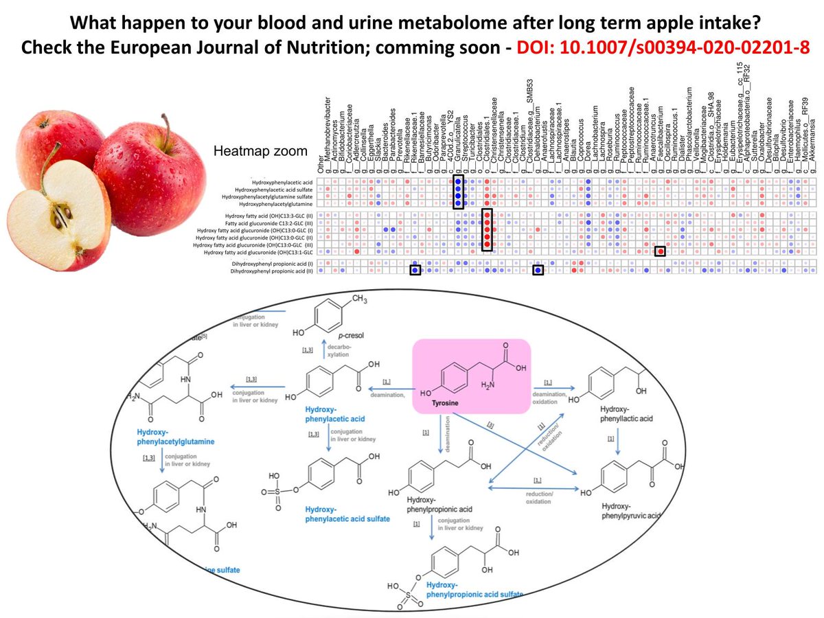marynka_chem's tweet photo. Two apples a day really matter! #metabolomics reveals tryptophan and tyrosin patyways triggered on apple diet.

https://t.co/V9jRZRyntb https://t.co/EFpshhGyRu