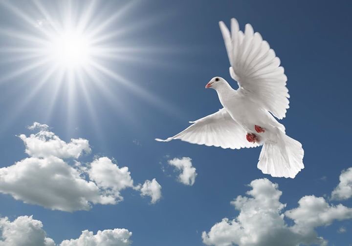 vickys334067's tweet photo. Wear your best smile and show up! Good Morning Humans!!#mothernature #celebrate #blessed #holyspirit #holymother #godbewithus 😇❤️🏡🇬🇷 https://t.co/kypvGBSgOl