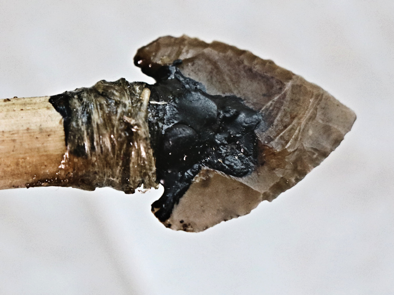 Whitstable Museum tweet media