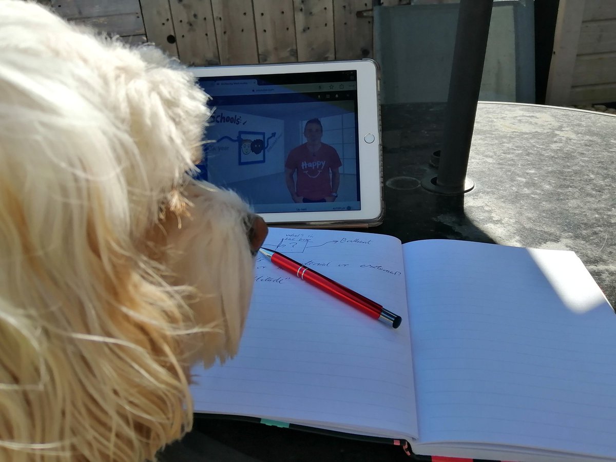 NathanwhiteMCA's tweet image. &quot;Make a dent in the universe&quot; @beingbrilliant
Well, I have 1,868 weeks left. 13,076 dents 1/day!
Did you tune in? Watch it now, remember the 7 words &quot;DO IT BETTER THAN YOU HAVE TO&quot;. Looking forward to those homework lists #MCAWellbeing @Mayflower_MCA @DavidSammels @LissiemillsMCA