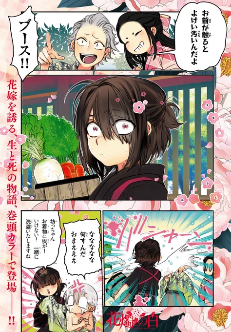 ゼロサム本誌今月「花燭の白」巻頭なので、宜しくどぞ～!色紙プレゼントもあるよ 