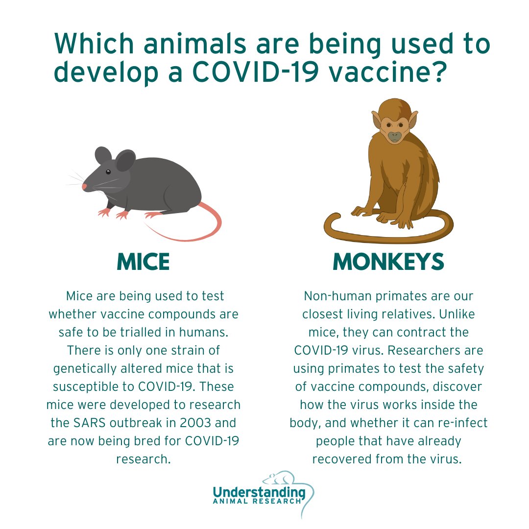 Understanding Animal Research on Twitter: Understanding Animal Research on Twitter: