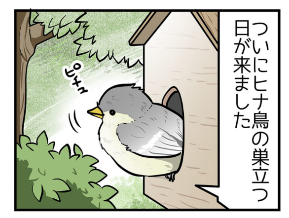 ✨4コマが更新されました!!✨
超!アニメディア 亀チャリ出張版!(157)
「ヒナ鳥の巣立ち」
https://t.co/88Yd9nIwLP
1〜2コマ目は「ダーヴィンが来た!」を見ています。
シジュウカラの巣立ち、めっちゃ見守っちゃった……
#ダーヴィンが来た  #ロードバイク納車 