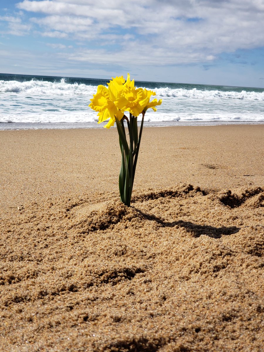 Mother Nature cannot be quarantined. Spring has sprung in #southcountyri.