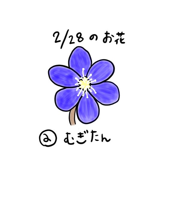 ミスミソウのtwitterイラスト検索結果 古い順