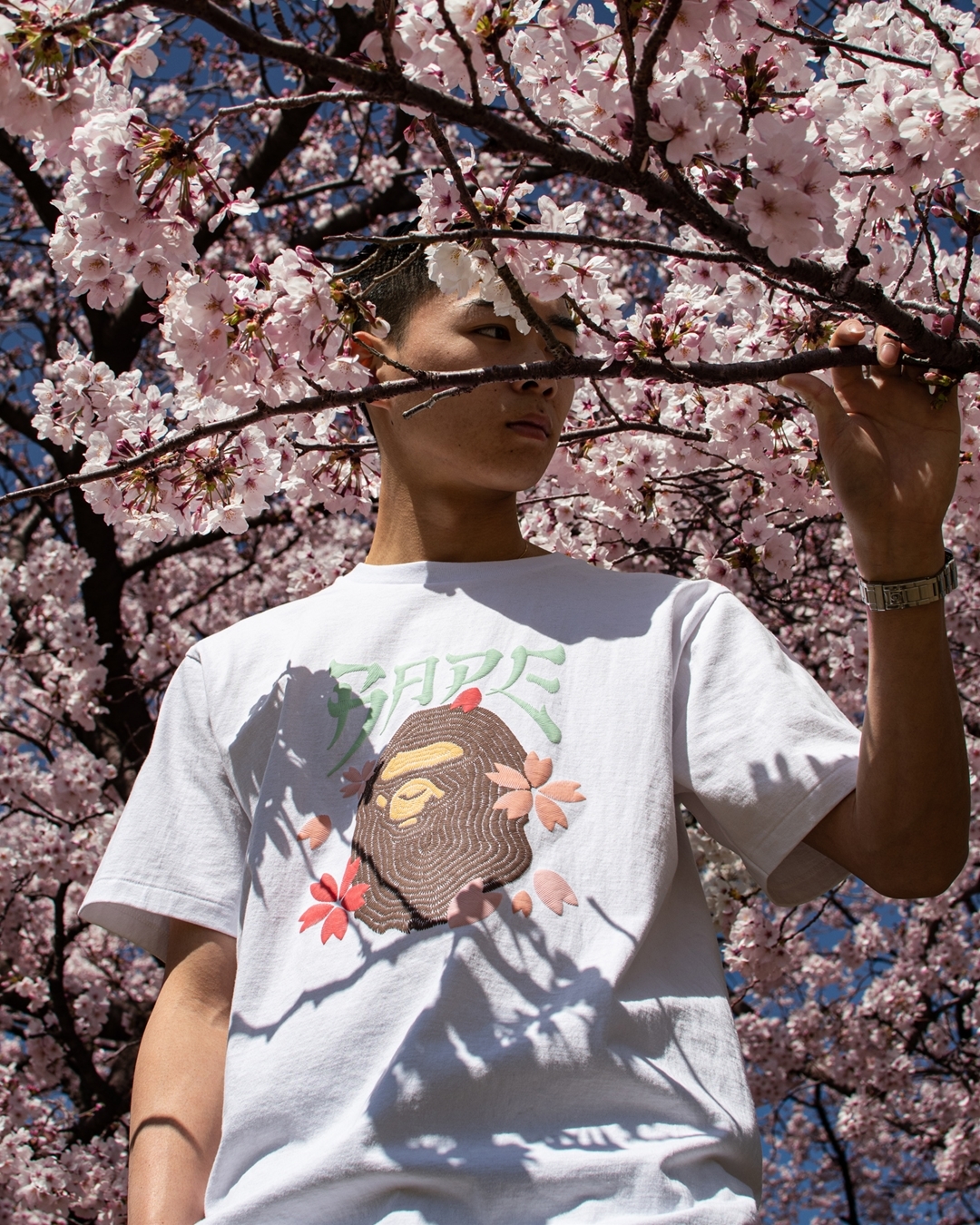 sakura tee