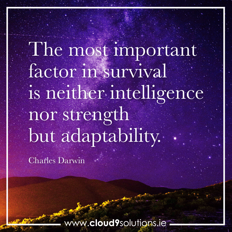 Cloud 9 Studio tweet media