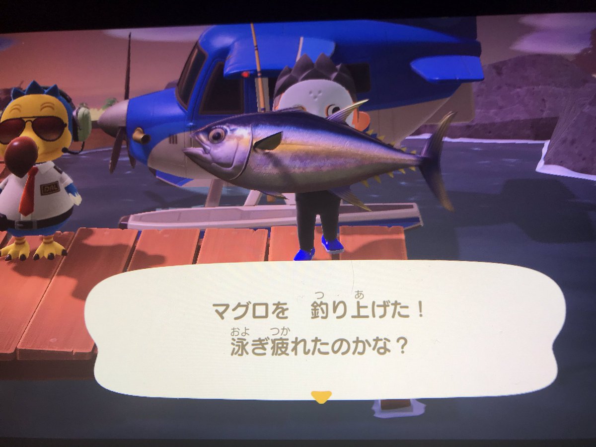 ChangingN's tweet image. お腹が減ってしもてん🍣