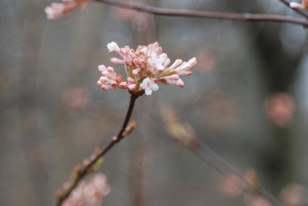 "Spring will come and so will happiness. Hold on. Life will get warmer." - Anita Krizzan