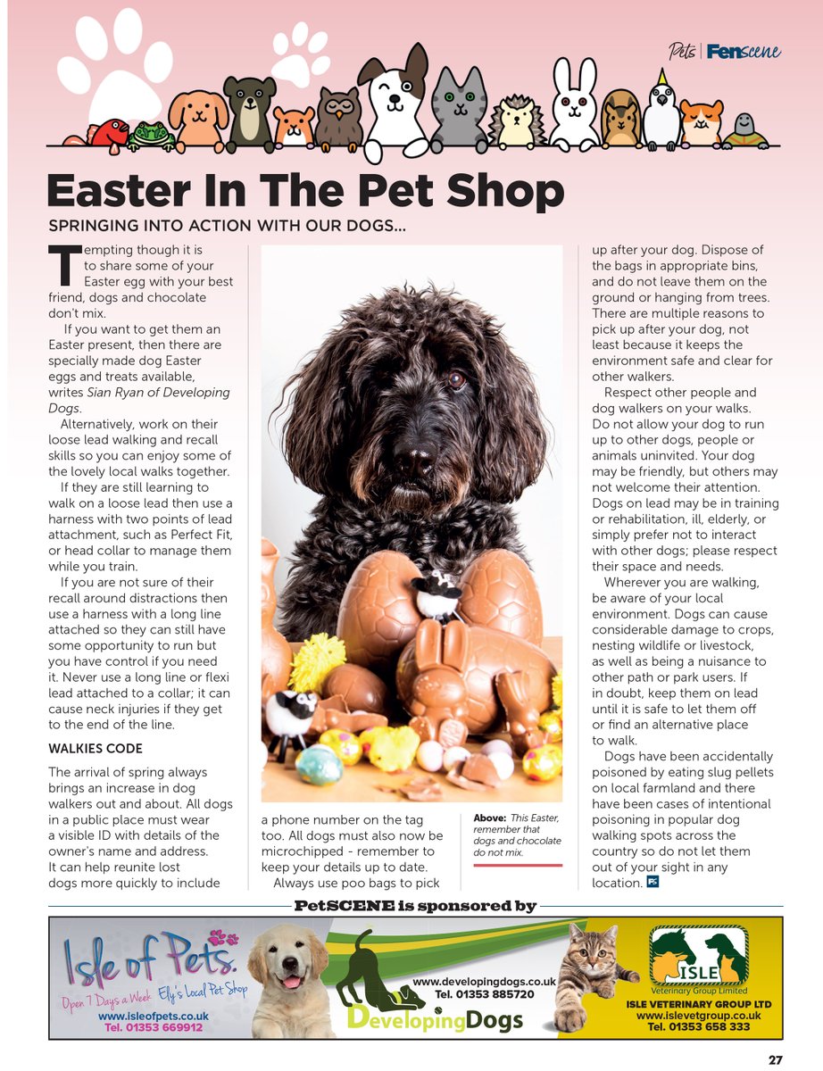 Fen_SCENE's tweet photo. Easter In The Pet Shop
-----------------------
Springing into action with our dogs...
@Fen_SCENE @IsleofPets #dogs #carefordogs #doggrooming #dentalhealth #dogadvice #dogwalking #spingtime #dogsinspring https://t.co/zZ2jPjtwWk