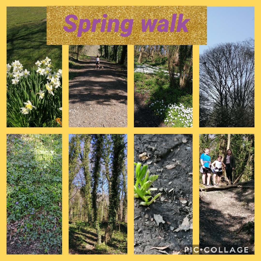 JplLynsey's tweet photo. @MonteneyPrimary these are all the things we saw on our walk today ☀️ https://t.co/y0ezXei381