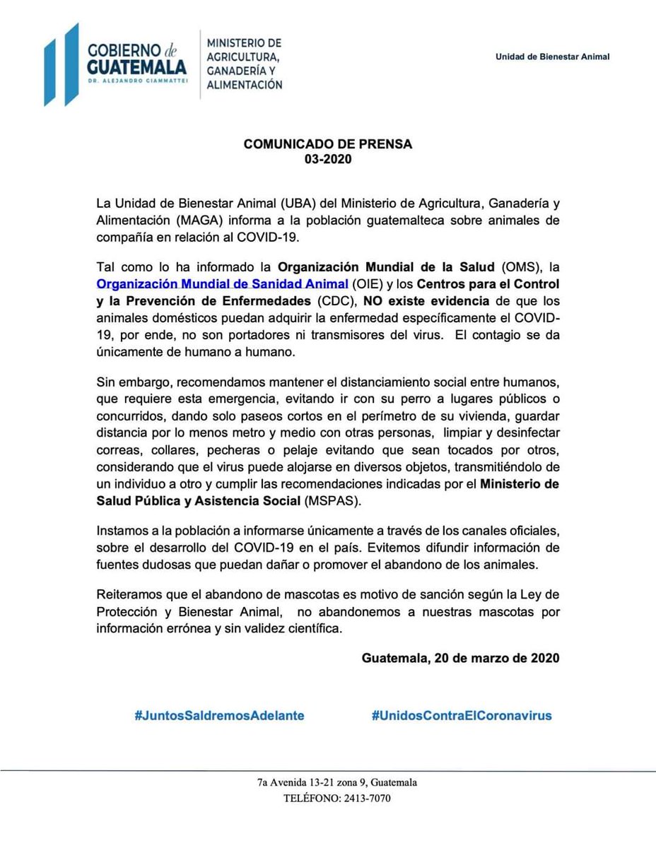 lahoragt's tweet image. Esto informa el @MagaGuatemala sobre animales domésticos y las recomendaciones a tomar en cuenta.