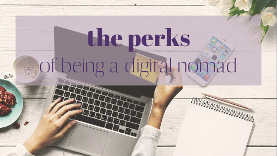 Perks of Being a Digital Nomad wanderdolls.com/perks-of-being…