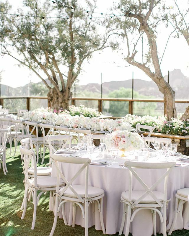 A reception to admire with our whitewash vineyard chairs! #theartofrentals || Planner: @tessalynevents | Venue: @cielofarms | Photographer: @angelicamariephoto | Florals: @peonyandplum | Catering: @treslacatering @robpauerful | Cake: <a href="/thebutterend/">Butter End Cakery</a> | Videography: @brandvideog…