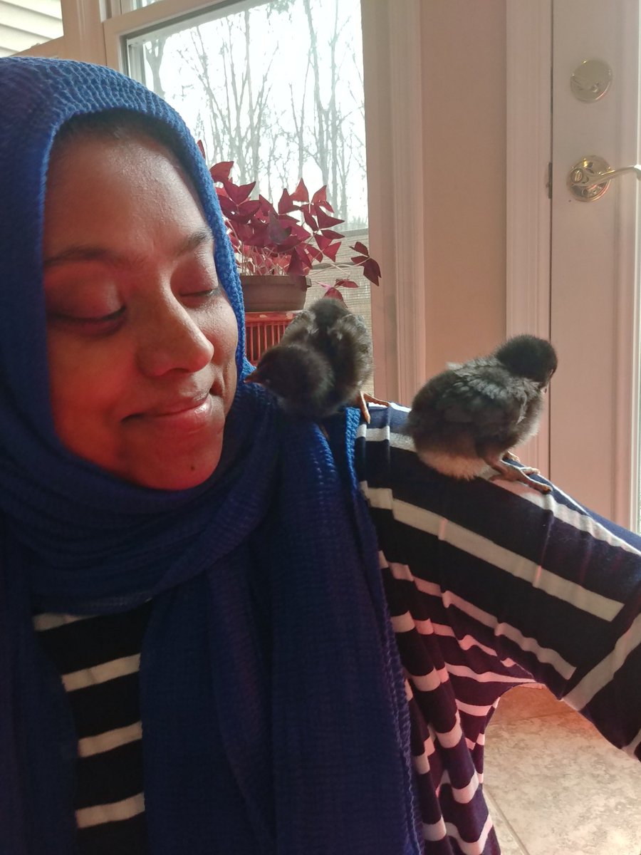 Joining RHS's virtual spirit week for Wellness Day. Chick therapy going on over here! 
<a href="/PrincipalRHS/">Rhoshanda Pyles</a> <a href="/RHSRamsSGA/">RHS SGA</a>