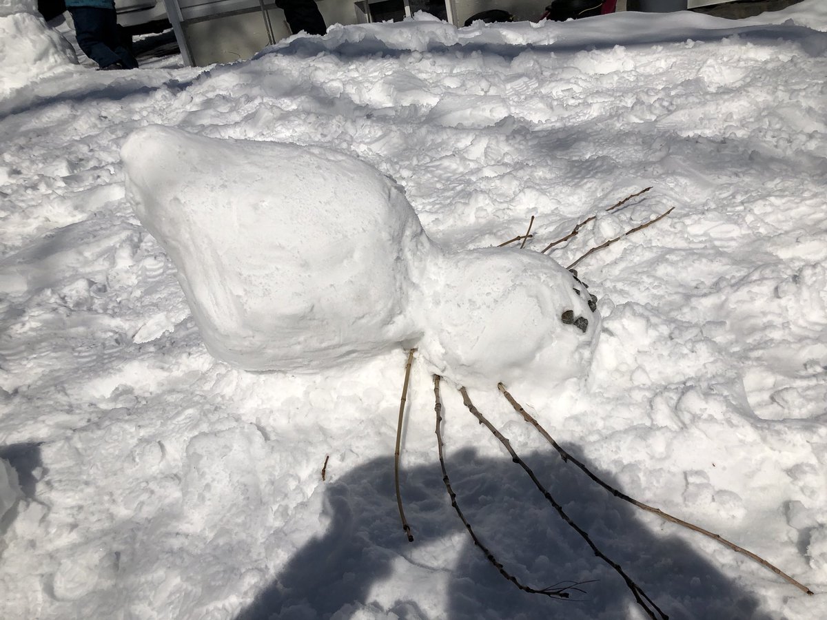 JoeBowdenNL's tweet photo. #family #snowman making I made a #spider #cyclosa #conica #araneidae https://t.co/emTFCFT9cS