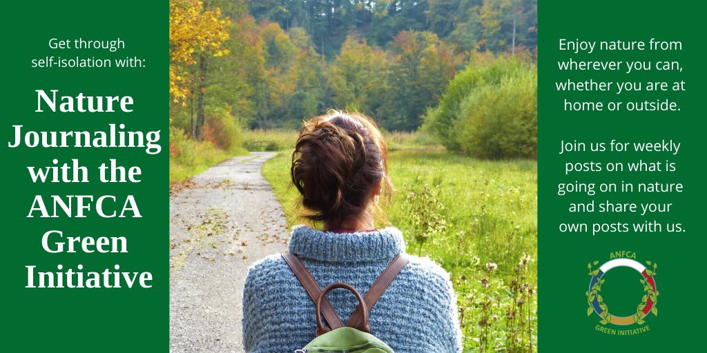 ANFCA Green Initiatives tweet media