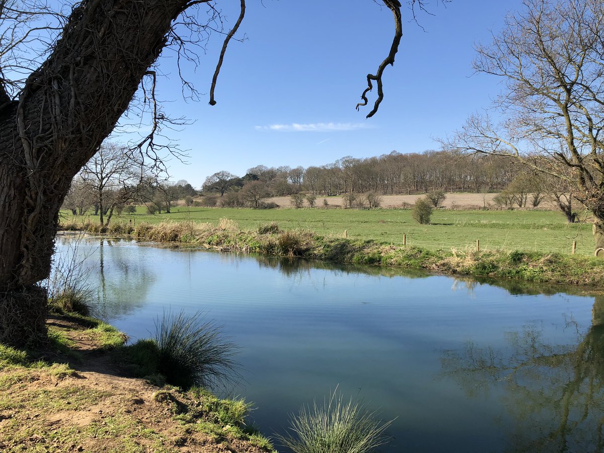 simongharris's tweet photo. Our one hour exercise walk. For a moment it was hard to imagine there was anything wrong in the world https://t.co/ZKoA68p3Wv